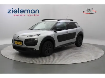 Citroen C4 CACTUS 1.6 BlueHDI Business Plus Navi Panorama